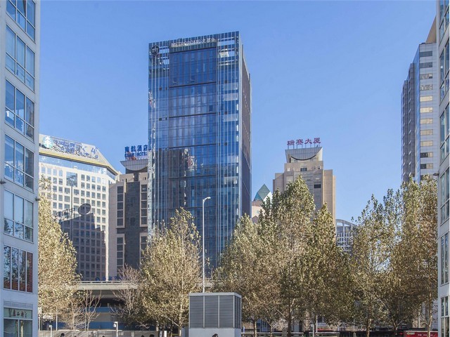 安徽小鼠脑缺血再灌注模型公司